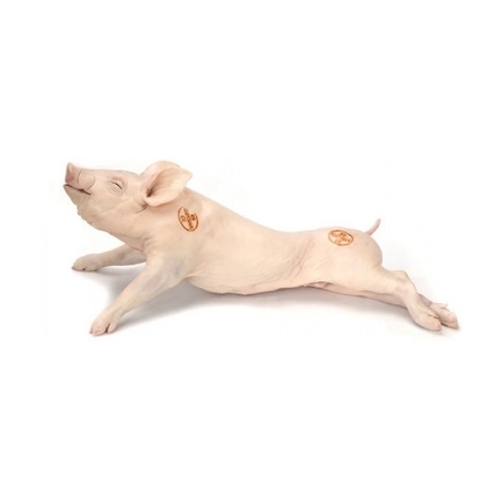 PEQUEÑO PORCO ENTRE 4.5 A 6KG